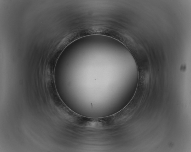 X0000091010220200708021555
