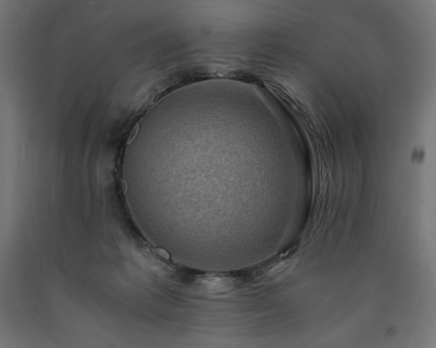 X0000091010221200708021555