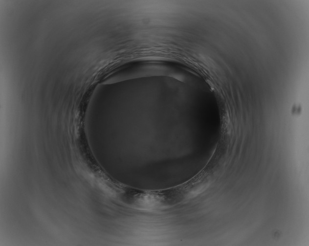 X0000091010223200708021555