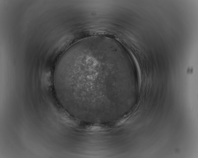 X0000091010224200708021555
