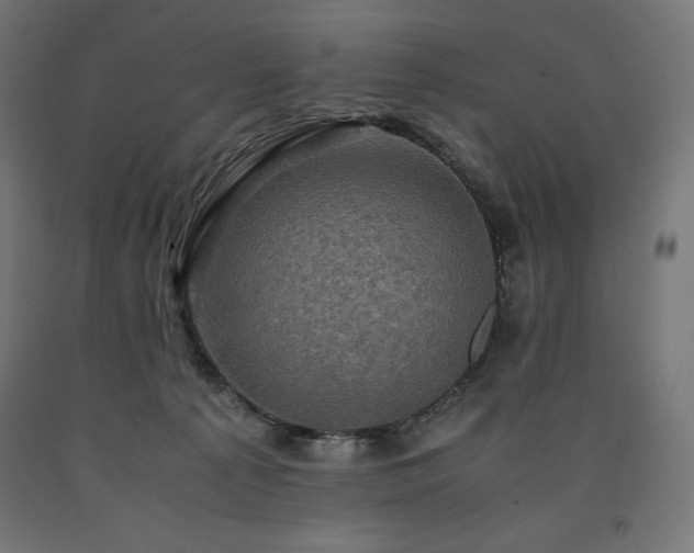 X0000091010225200708021555