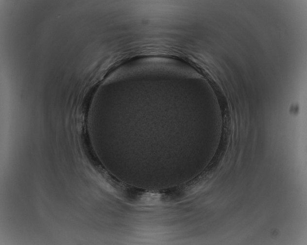 X0000091010227200708021555