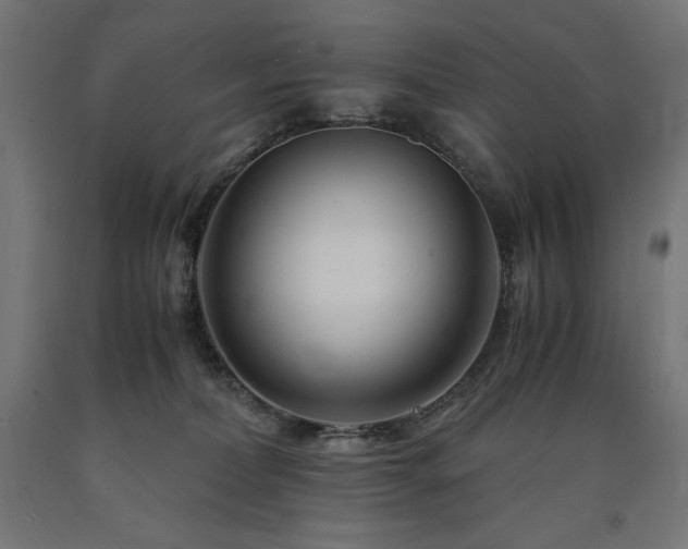 X0000091010228200708021555