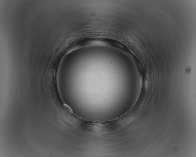 X0000091010229200708021555