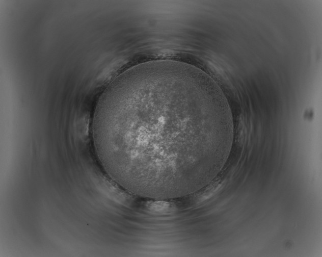 X0000091010230200708021555