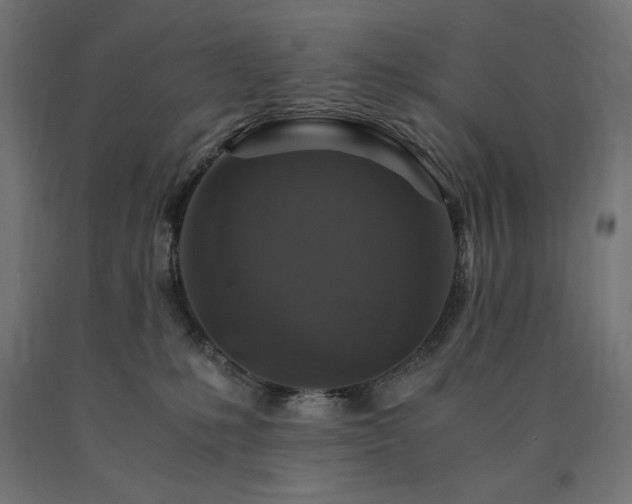 X0000091010231200708021555