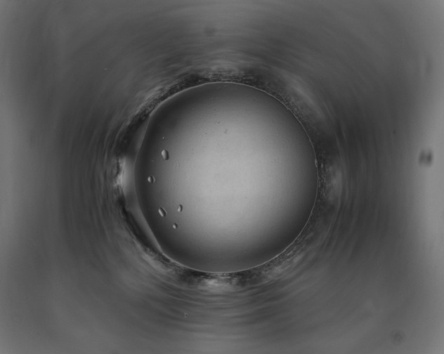 X0000091010232200708021555