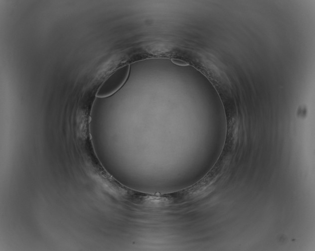 X0000091010234200708021555