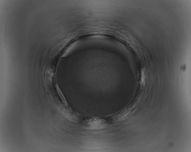 X0000091010235200708021555