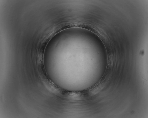 X0000091010236200708021555