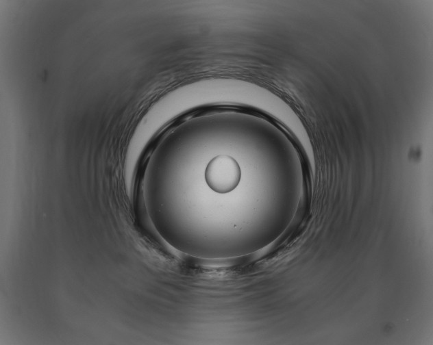 X0000091010237200708021555
