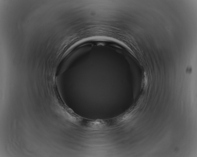 X0000091010239200708021555