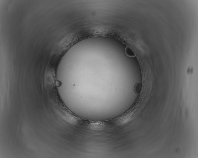 X0000091010240200708021555