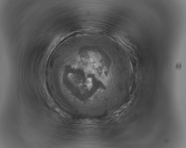 X0000091010241200708021555