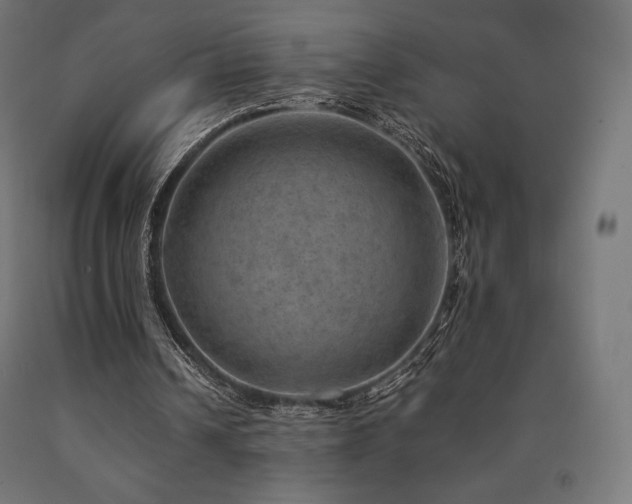 X0000091010242200708021555