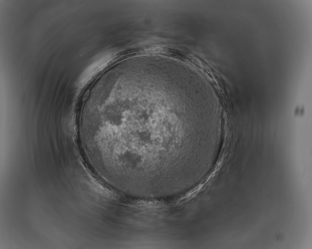 X0000091010245200708021555