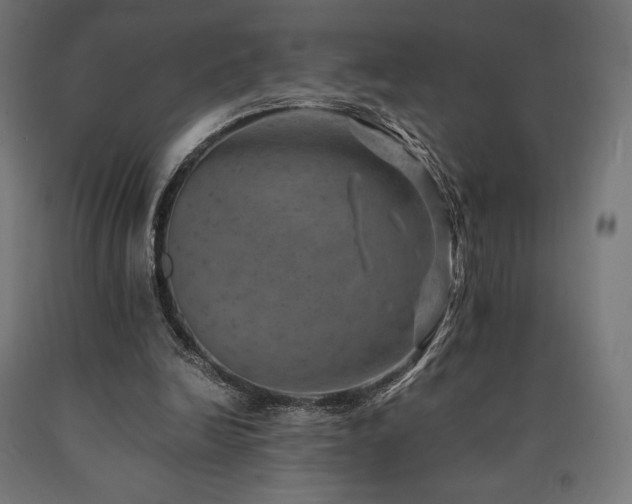 X0000091010246200708021555