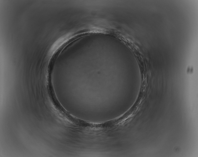 X0000091010247200708021555