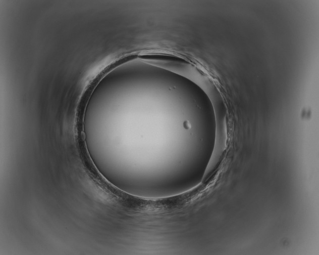 X0000091010248200708021555