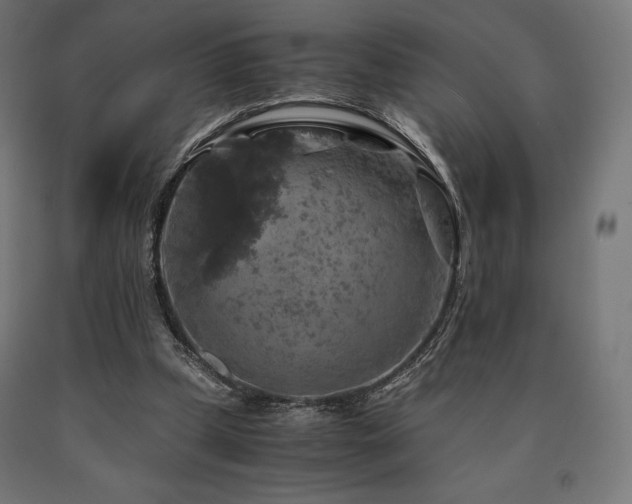 X0000091010249200708021555