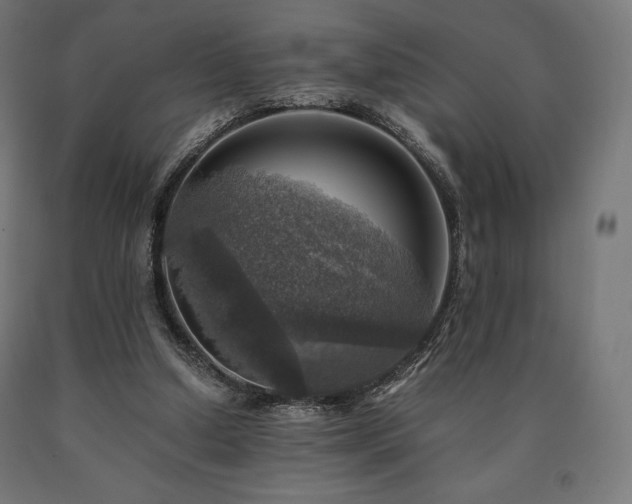 X0000091010250200708021555