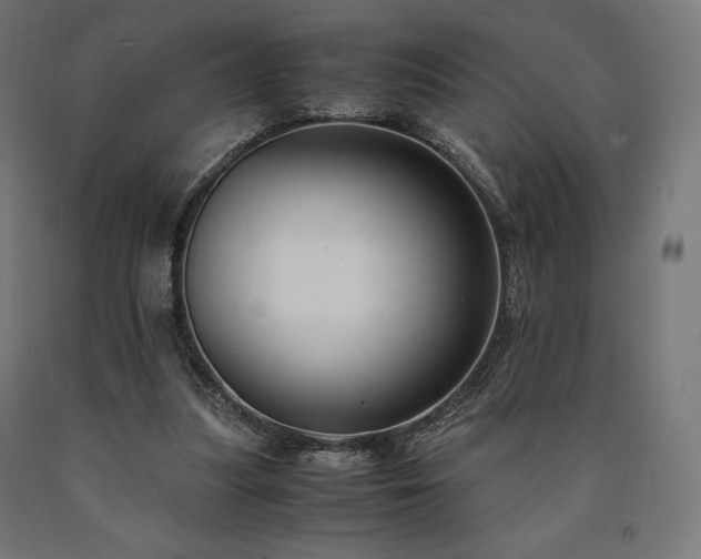 X0000091010251200708021555
