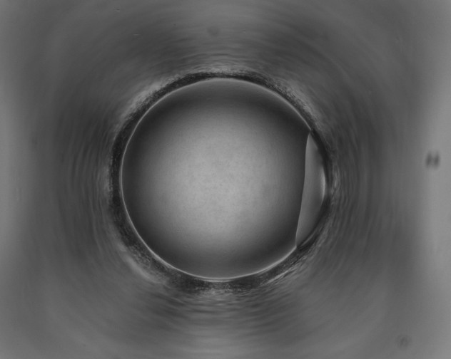 X0000091010252200708021555