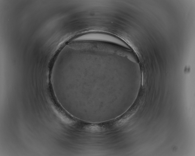 X0000091010253200708021555