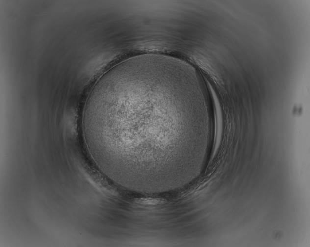 X0000091010255200708021555