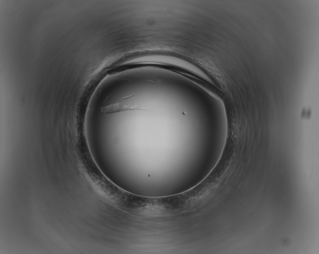 X0000091010256200708021555