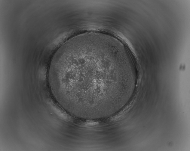 X0000091010257200708021555