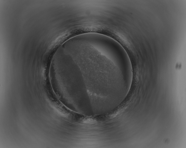X0000091010258200708021555