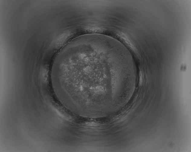X0000091010259200708021555