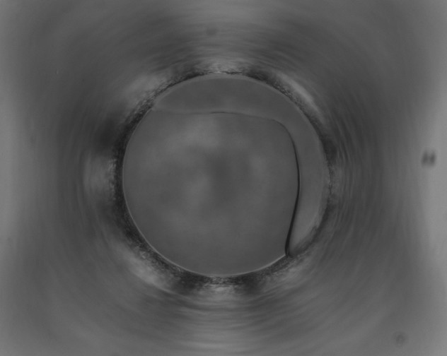 X0000091010260200708021555