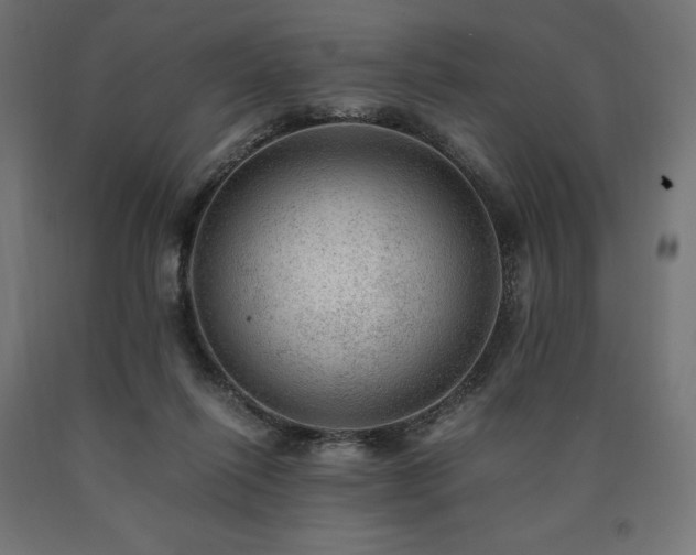 X0000091010262200708021555