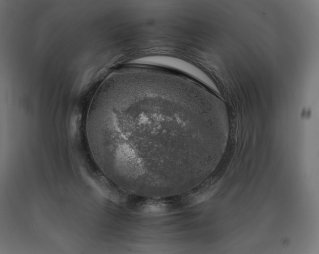 X0000091010263200708021555
