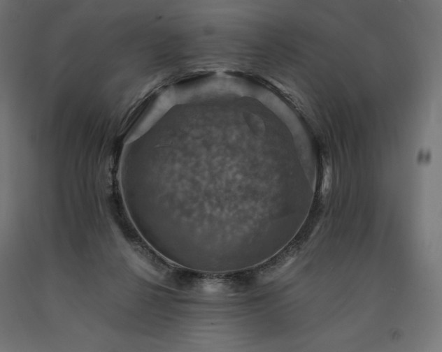 X0000091010264200708021555
