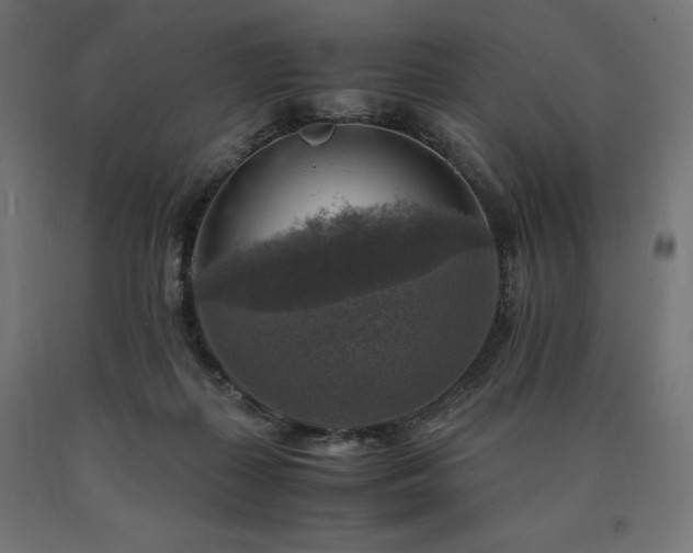 X0000091010267200708021555