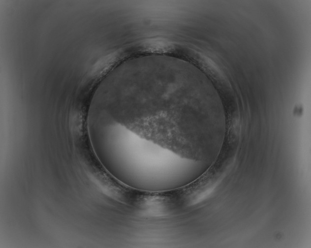 X0000091010268200708021555