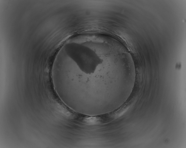 X0000091010269200708021555