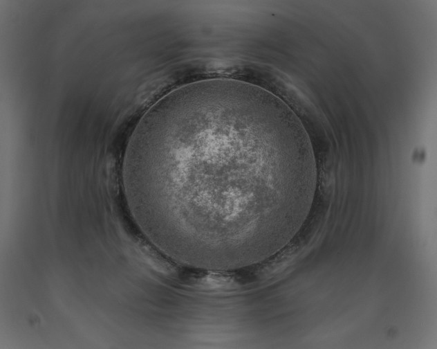 X0000091010270200708021555