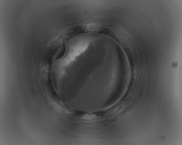 X0000091010271200708021555