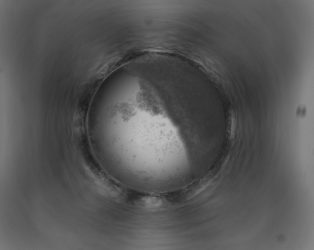 X0000091010272200708021555