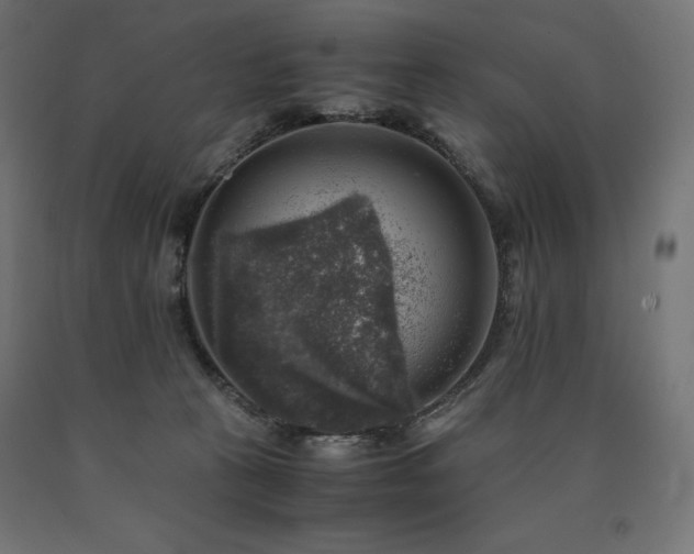X0000091010273200708021555