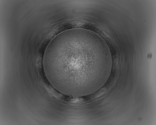 X0000091010274200708021555