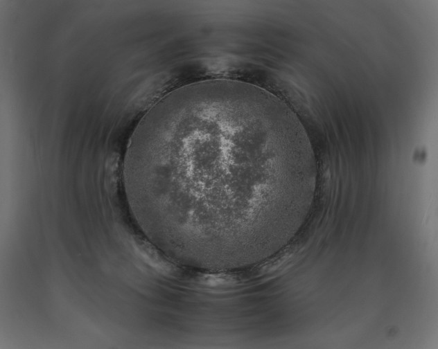 X0000091010275200708021555
