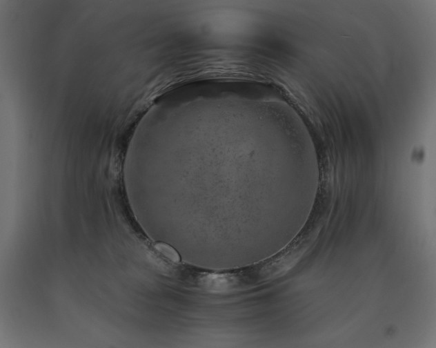 X0000091010277200708021555