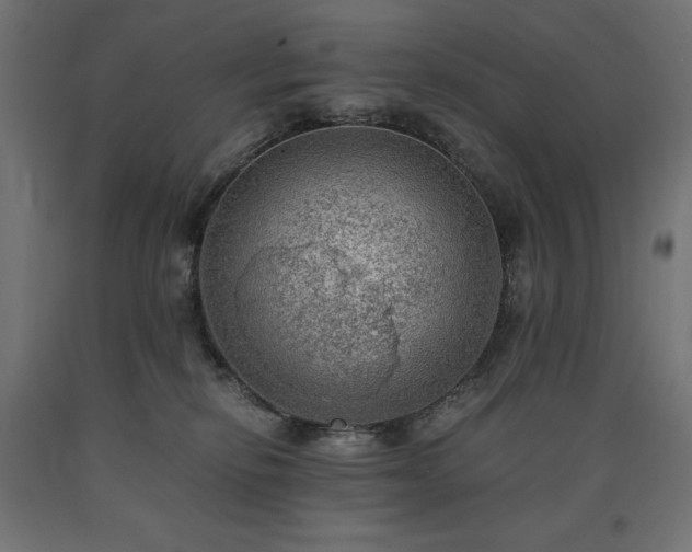 X0000091010278200708021555