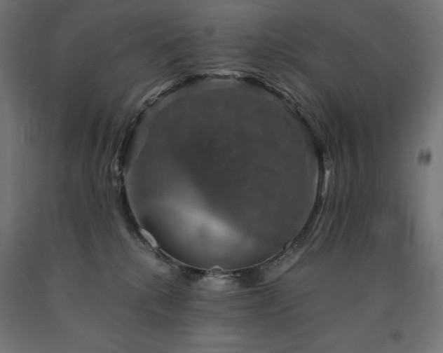 X0000091010280200708021555