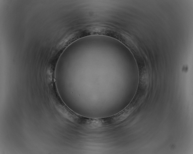 X0000091010282200708021555